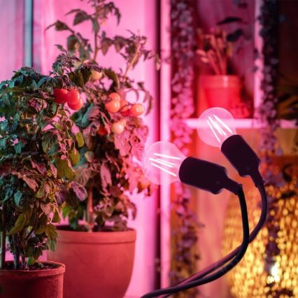 Fleksibel bordlampe med klemme til plantevækst PLANTY 2xE27/30W/230V sort