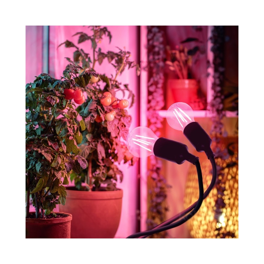 Fleksibel bordlampe med klemme til plantevækst PLANTY 2xE27/30W/230V sort