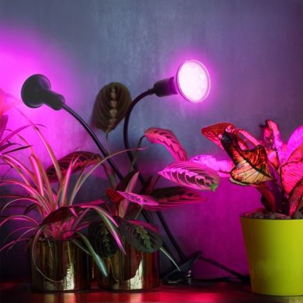Fleksibel bordlampe med klemme til plantevækst PLANTY 2xE27/30W/230V sort