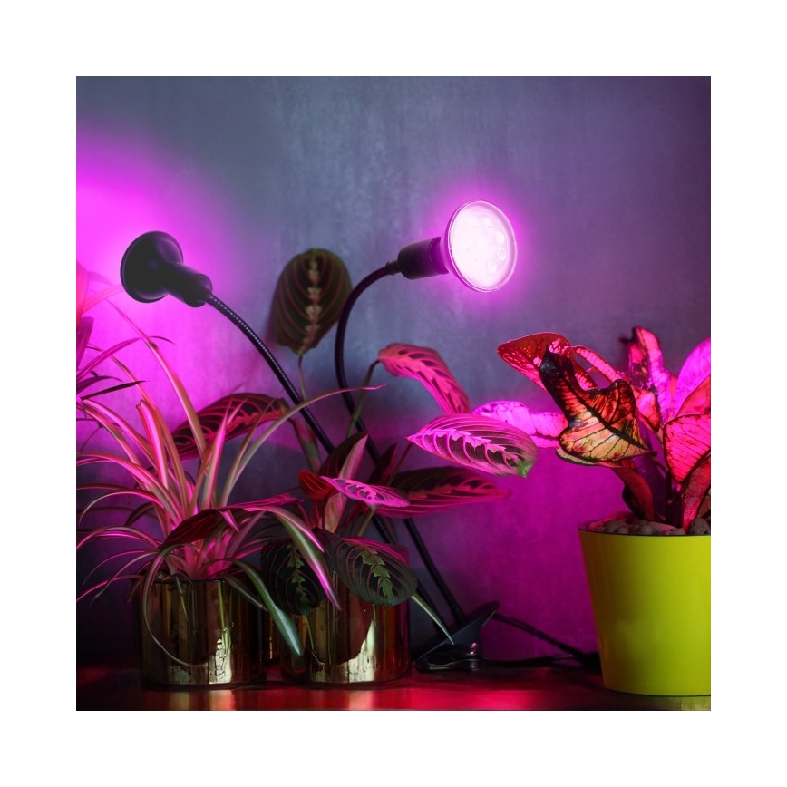 Fleksibel bordlampe med klemme til plantevækst PLANTY 2xE27/30W/230V sort