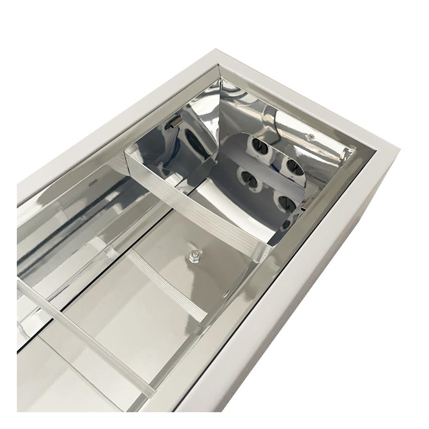 Fluorescerende lampe T8 2xG13/18W/230V 120 cm hvid