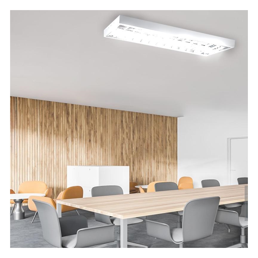 Fluorescerende lampe T8 2xG13/18W/230V 120 cm hvid