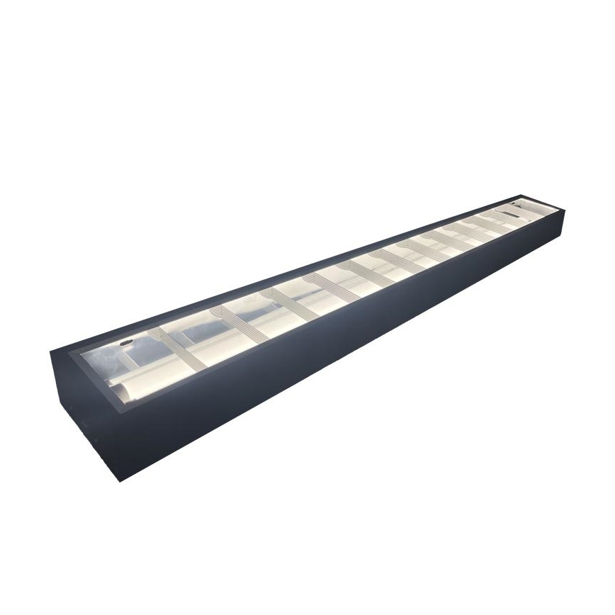Fluorescerende lampe T8 2xG13/18W/230V 120 cm sort