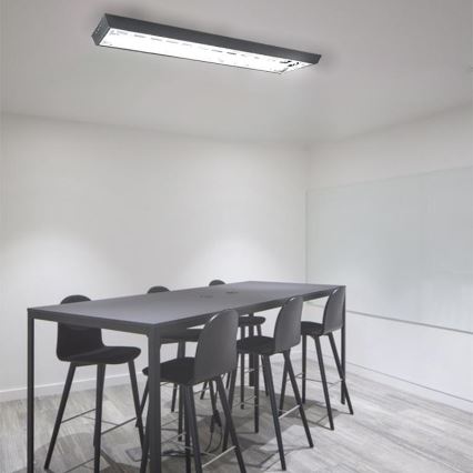 Fluorescerende lampe T8 2xG13/18W/230V 120 cm sort
