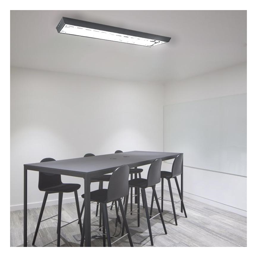 Fluorescerende lampe T8 2xG13/18W/230V 120 cm sort