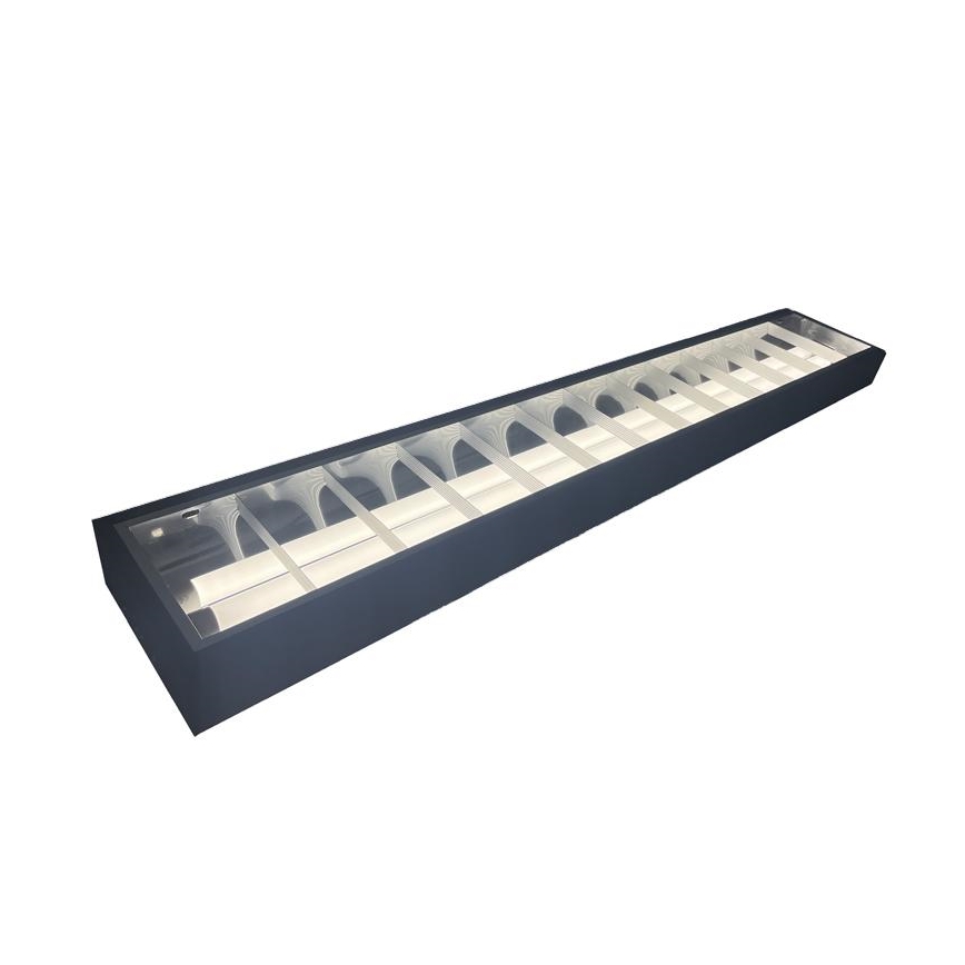 Fluorescerende lampe T8 2xG13/18W/230V 120 cm sort