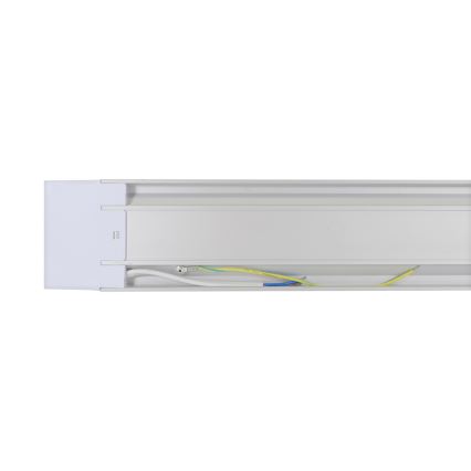 Fluorescerende LED lampe AVILO 120 LED/36W/230V