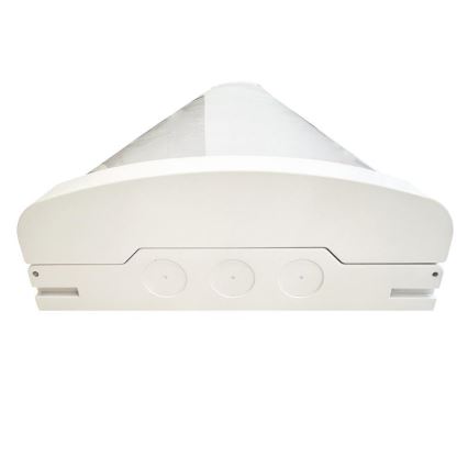 Fluorescerende LED lampe dæmpbar LED/35W/44W/52W/60W/230V 4000K 120 cm