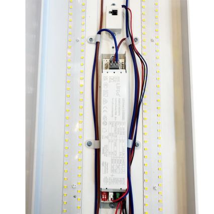 Fluorescerende LED lampe dæmpbar LED/35W/44W/52W/60W/230V 4000K 120 cm