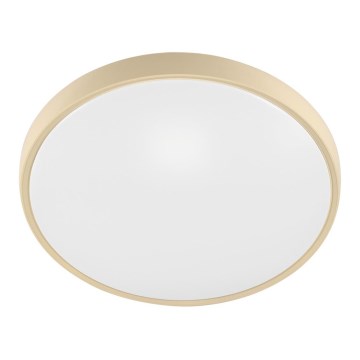 Fulgur 27480 - Ramme med diffuser til loftlampe VERA 420 GOLD