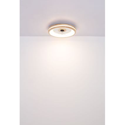 Globo - LED Loftlampe med ventilator dæmpbar LED/30W/230V 2700-6500K brun + fjernbetjening