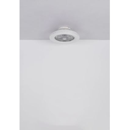Globo - LED loftventilator dæmpbar LED/40W/230V 3000-6500K + fjernbetjening
