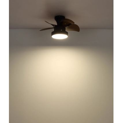 Globo - LED-dæmpbar loftventilator, LED 22 W, 230 V, 3000/4500/6000 K, brun + fjernbetjening