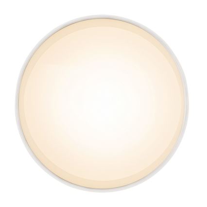 Globo - LED loftsbelysning LED/8W/230V