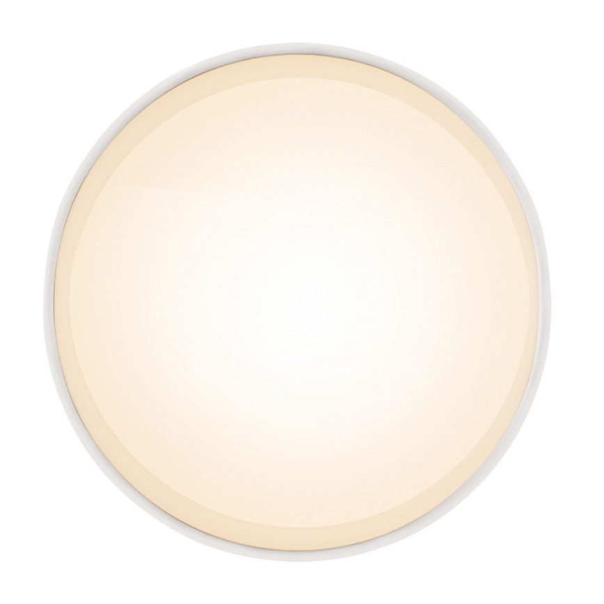 Globo - LED loftsbelysning LED/8W/230V