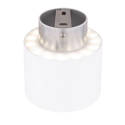 Globo - LED loftsbelysning LED/8W/230V