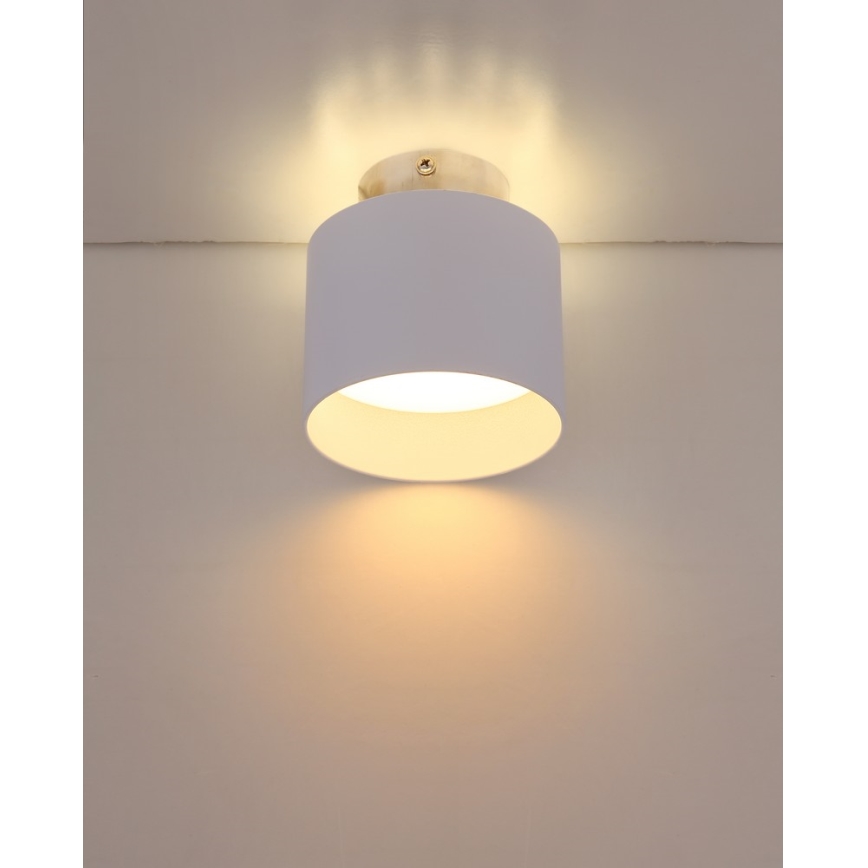 Globo - LED loftsbelysning LED/8W/230V