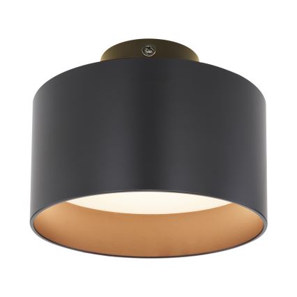Globo - LED loftsbelysning LED/16W/230V