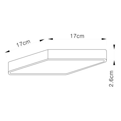 Globo - LED loftsbelysning LED/22W/230V