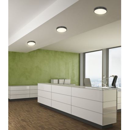 Globo - LED loftlampe dæmpbar LED/28W/230V