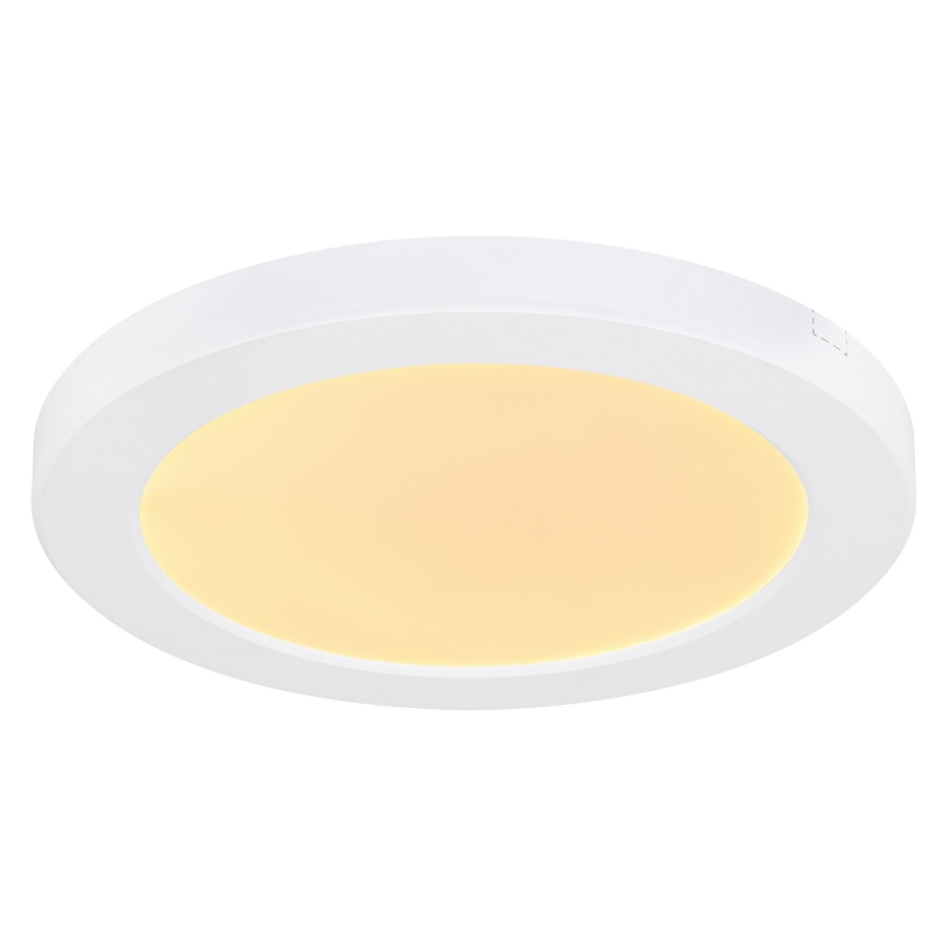 Globo - LED loftlampe LED/18W/230V 3000/4000/6500K hvid