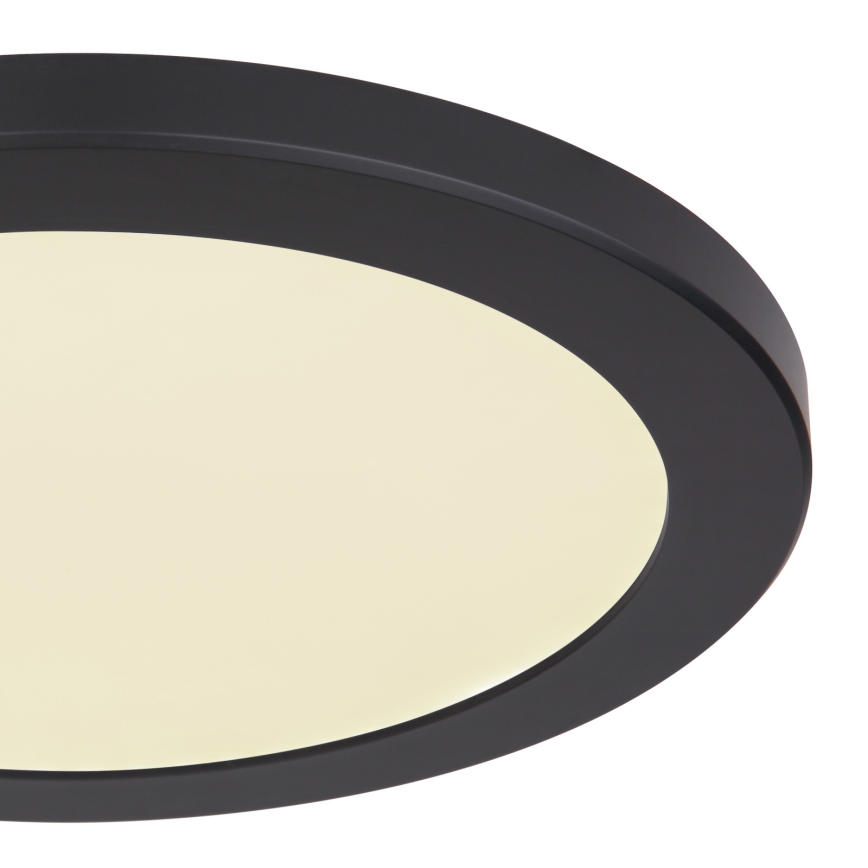 Globo - LED loftlampe LED/24W/230V 3000/4000/6500K sort