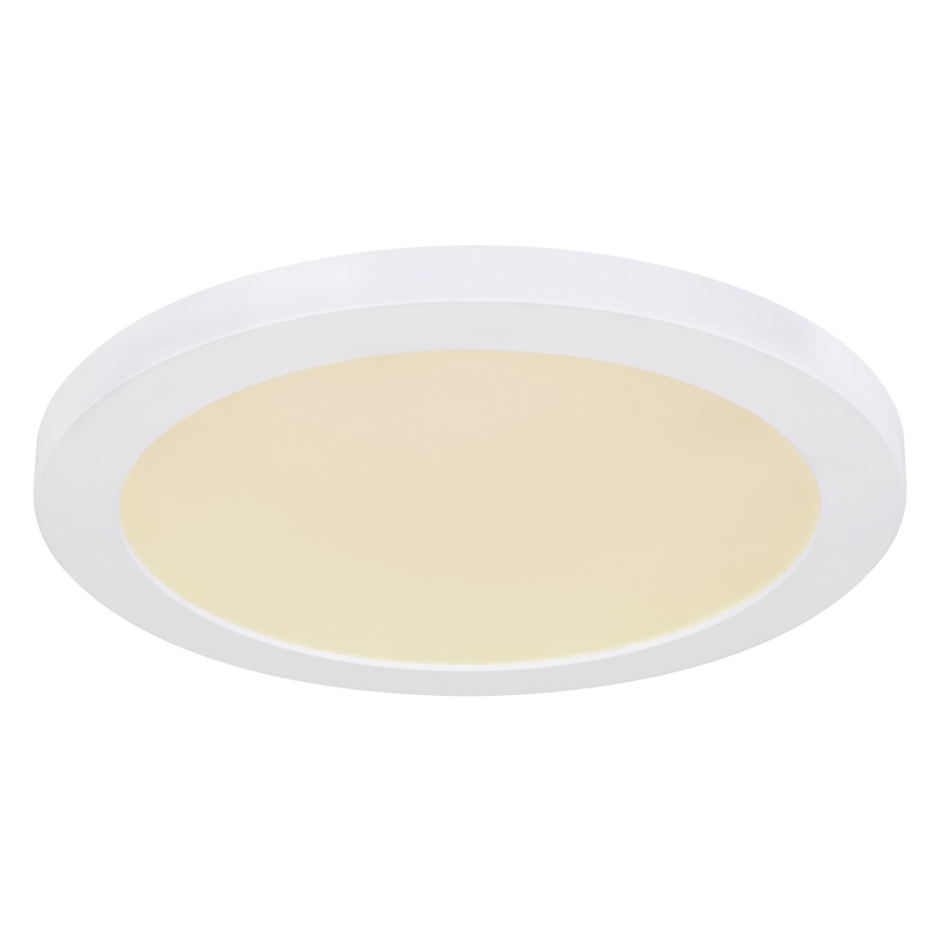 Globo - LED loftlampe LED/24W/230V 3000/4000/6500K hvid