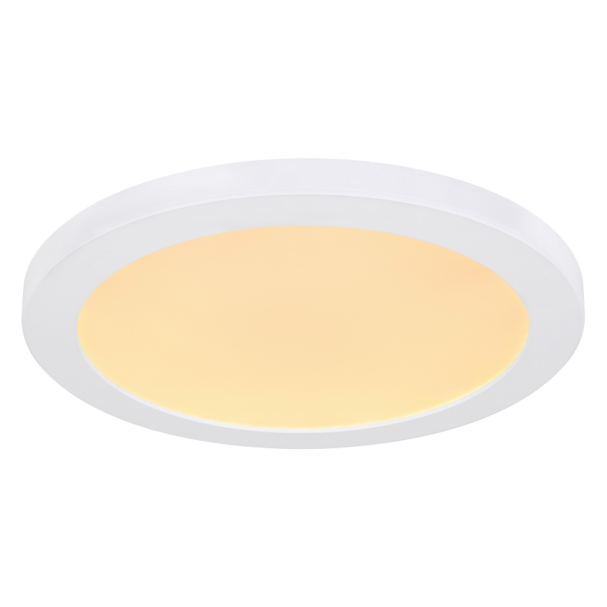 Globo - LED loftlampe LED/24W/230V 3000/4000/6500K hvid
