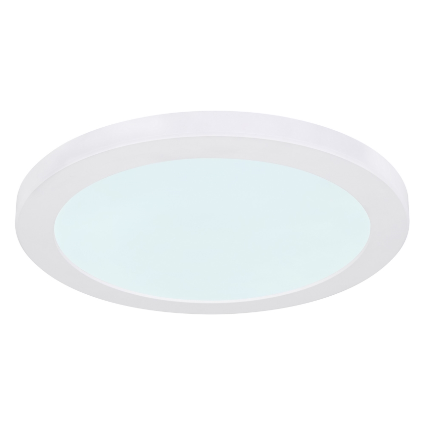 Globo - LED loftlampe LED/24W/230V 3000/4000/6500K hvid