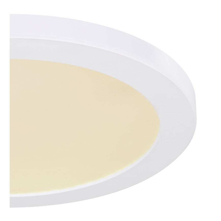 Globo - LED loftlampe LED/24W/230V 3000/4000/6500K hvid