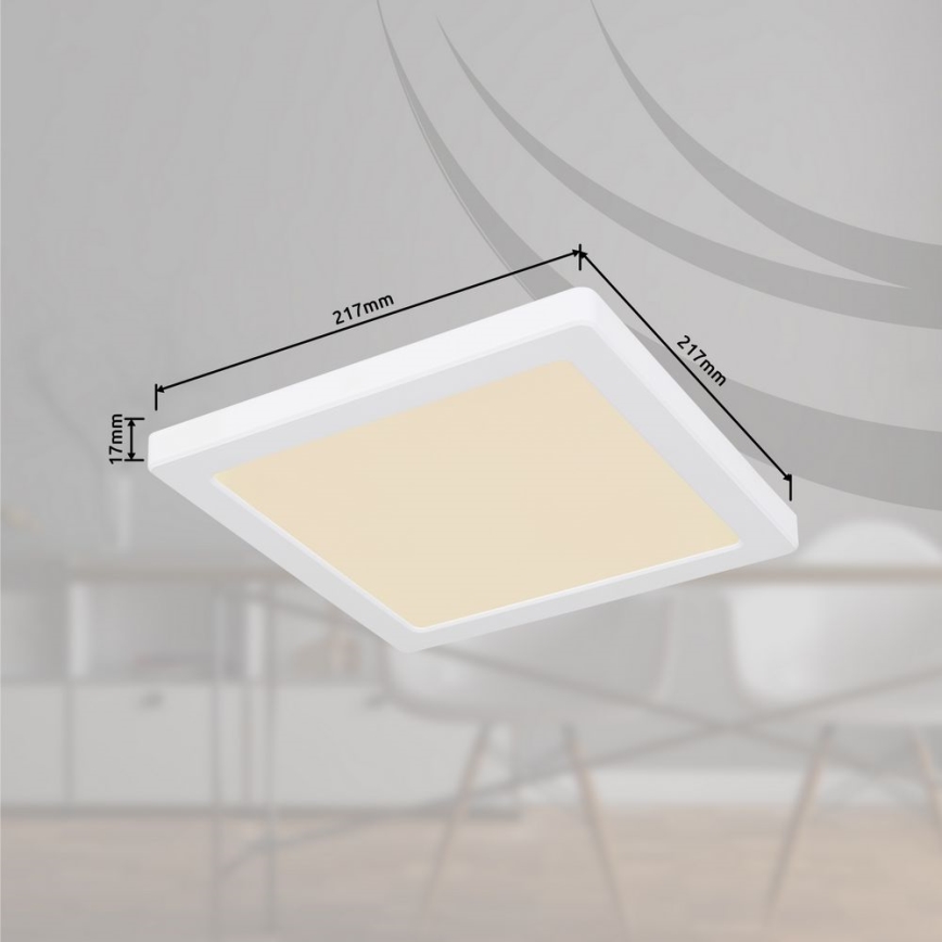 Globo - LED loftlampe LED/18W/230V 3000/4000/6500K hvid