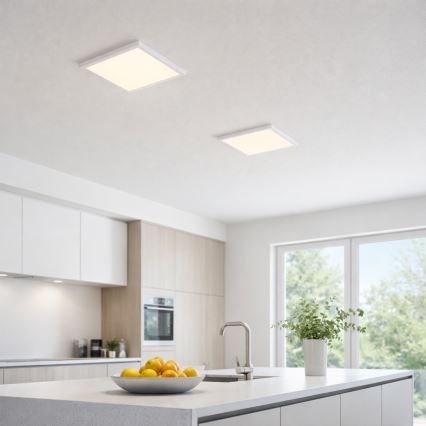 Globo - LED loftlampe LED/24W/230V 3000/4000/6500K hvid