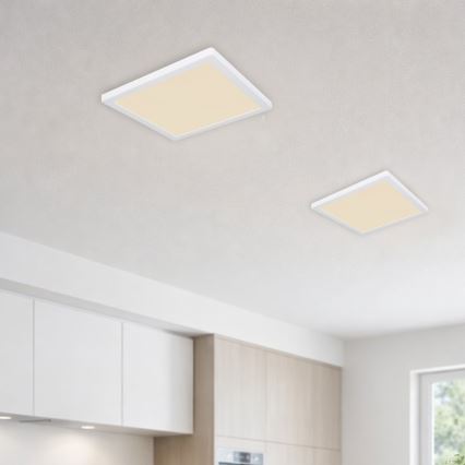 Globo - LED loftlampe LED/24W/230V 3000/4000/6500K hvid