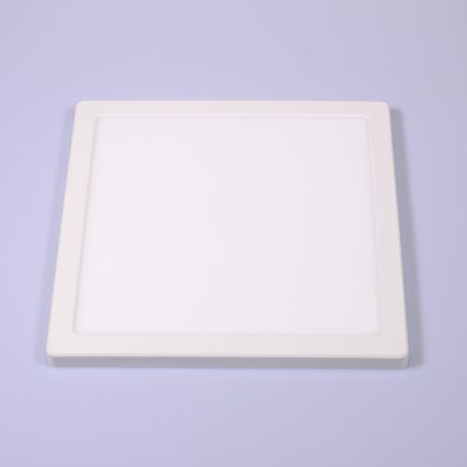 Globo - LED loftlampe LED/24W/230V 3000/4000/6500K hvid