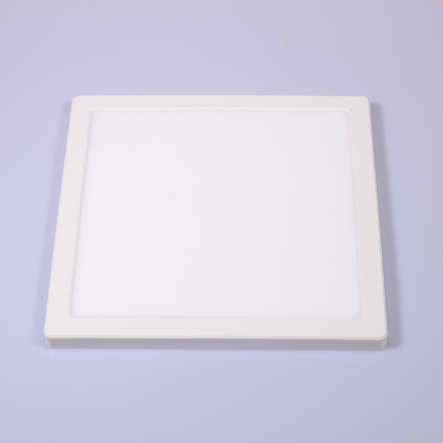 Globo - LED loftlampe LED/24W/230V 3000/4000/6500K hvid