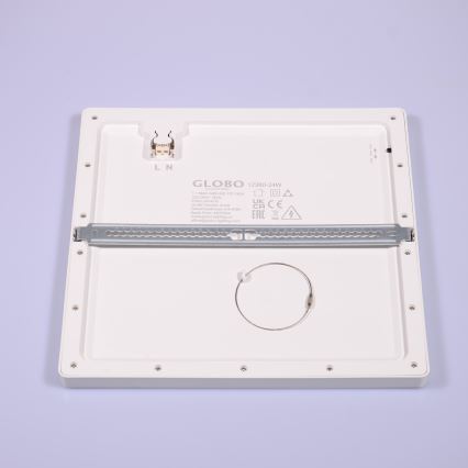 Globo - LED loftlampe LED/24W/230V 3000/4000/6500K hvid