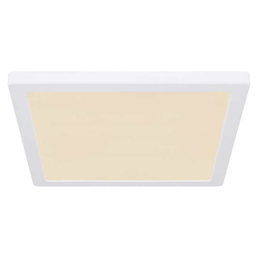 Globo - LED loftlampe LED/24W/230V 3000/4000/6500K hvid