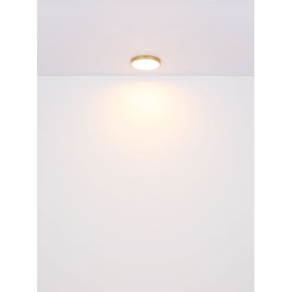 Globo - LED loftlampe LED/22W/230V diameter 35 cm