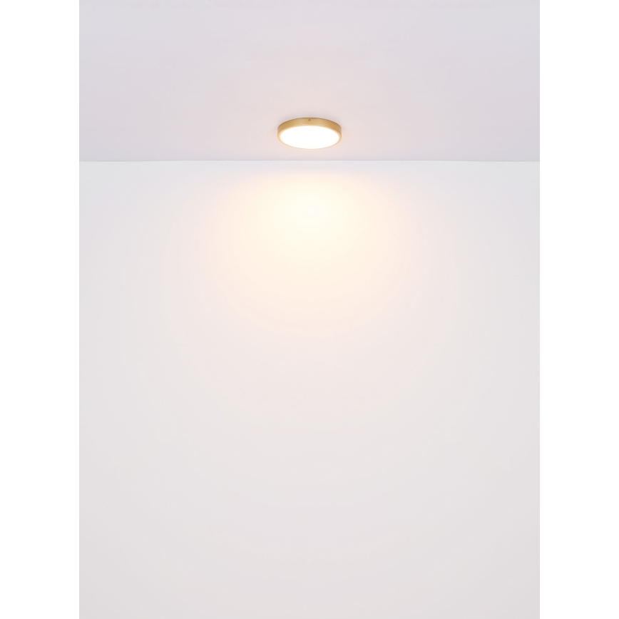 Globo - LED loftlampe LED/22W/230V diameter 35 cm