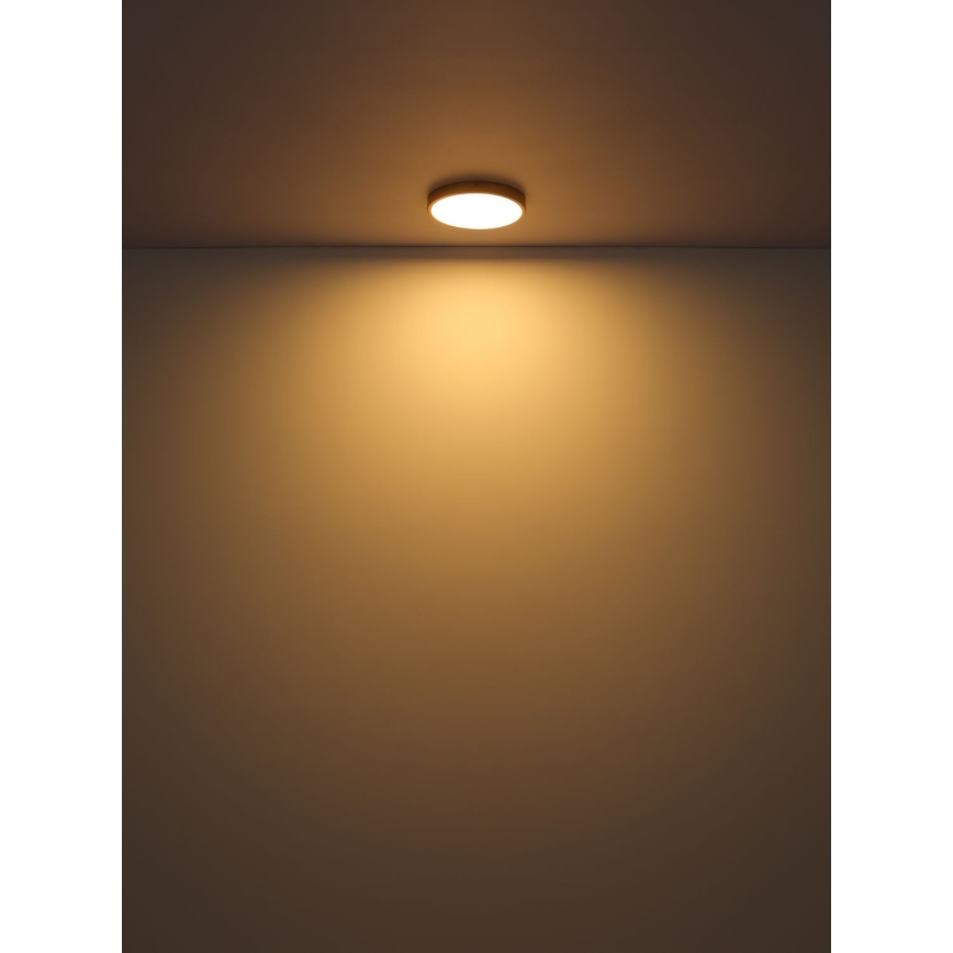 Globo - LED loftlampe LED/30W/230V diameter 45 cm