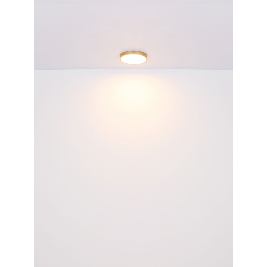 Globo - LED loftlampe LED/30W/230V diameter 45 cm