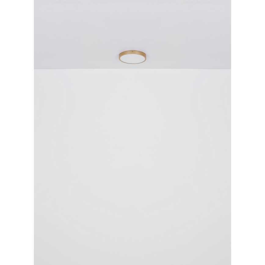 Globo - LED loftlampe LED/30W/230V diameter 45 cm