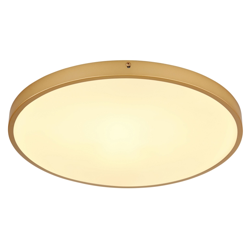 Globo - LED loftlampe LED/30W/230V diameter 45 cm