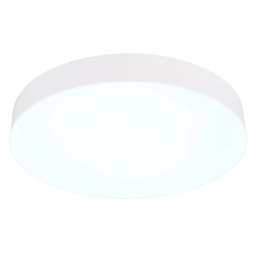 Globo - LED loftlampe LED/24W/230V 3000K/4000K/6500K diameter 30 cm hvid