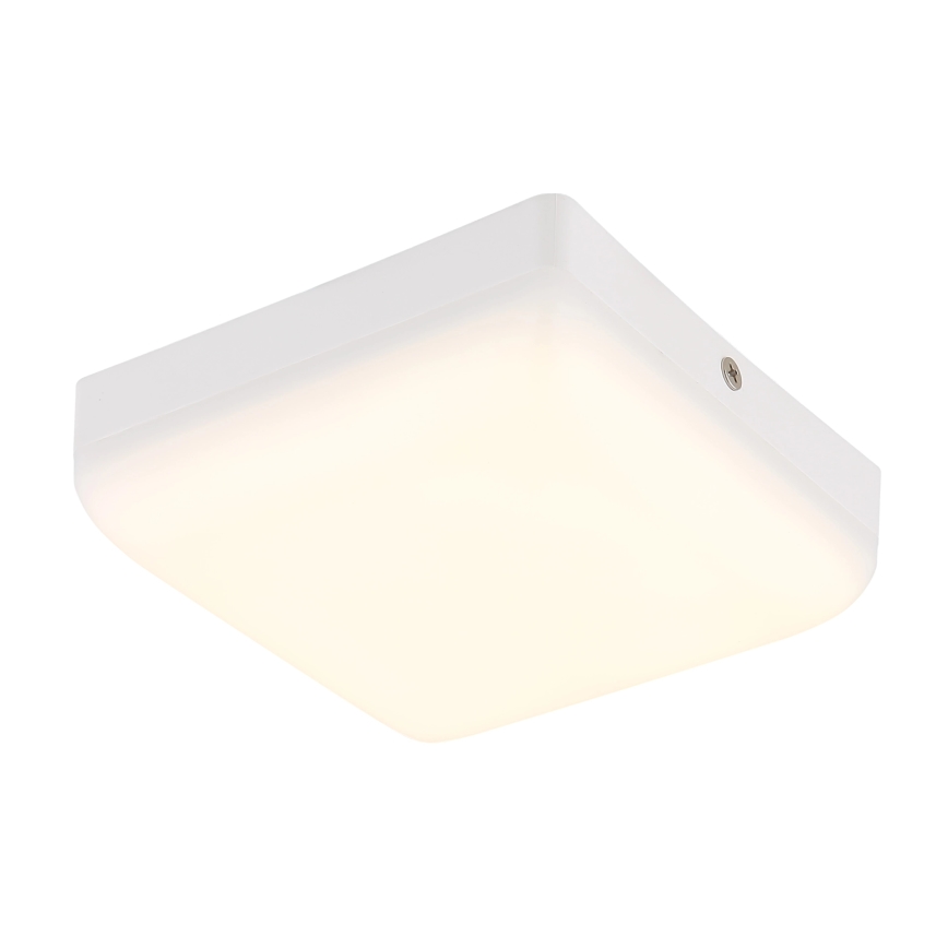 Globo - LED loftlampe LED/8W/230V 4000K 12x12 cm hvid
