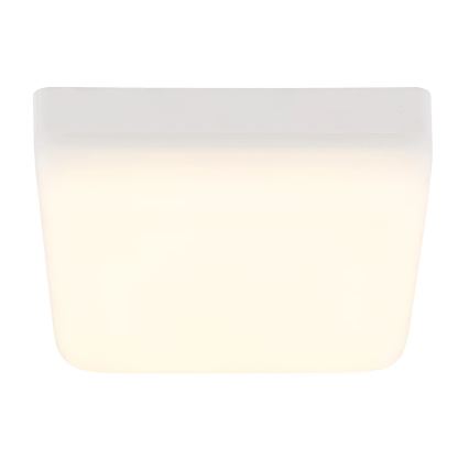 Globo - LED loftlampe LED/8W/230V 4000K 12x12 cm hvid