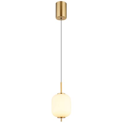 Globo - LED pendel LED/7W/230V