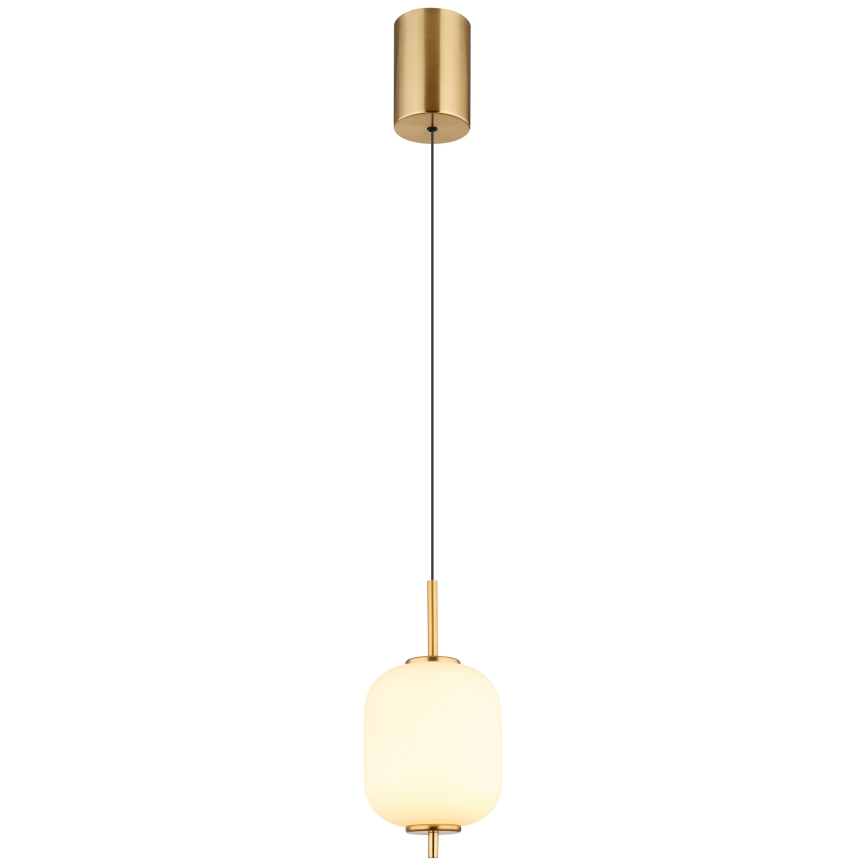Globo - LED pendel LED/7W/230V