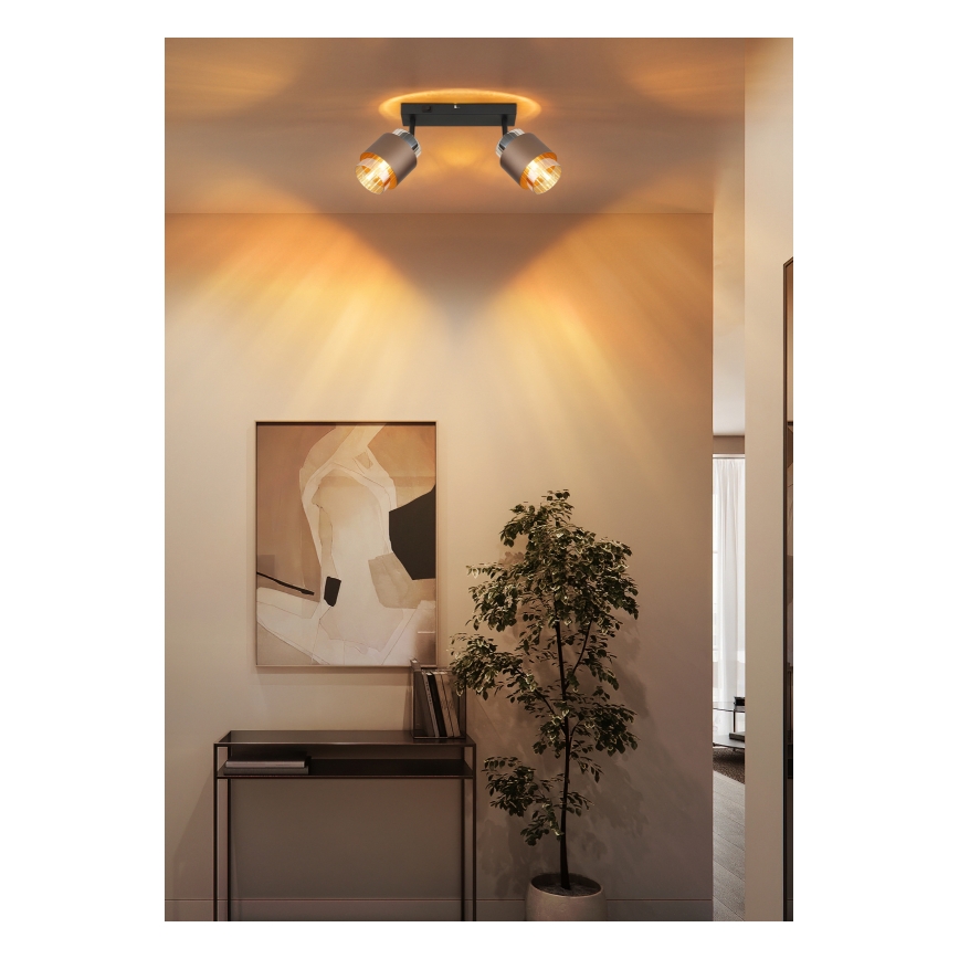 Globo - Spotlampe 2xE27/40W/230V sort/bronze