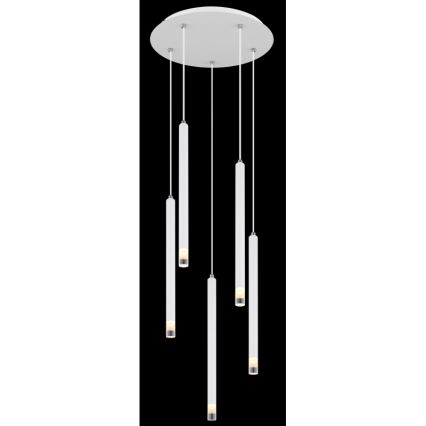 Globo - Pendel 5xG9/4W/230V diameter 34 cm